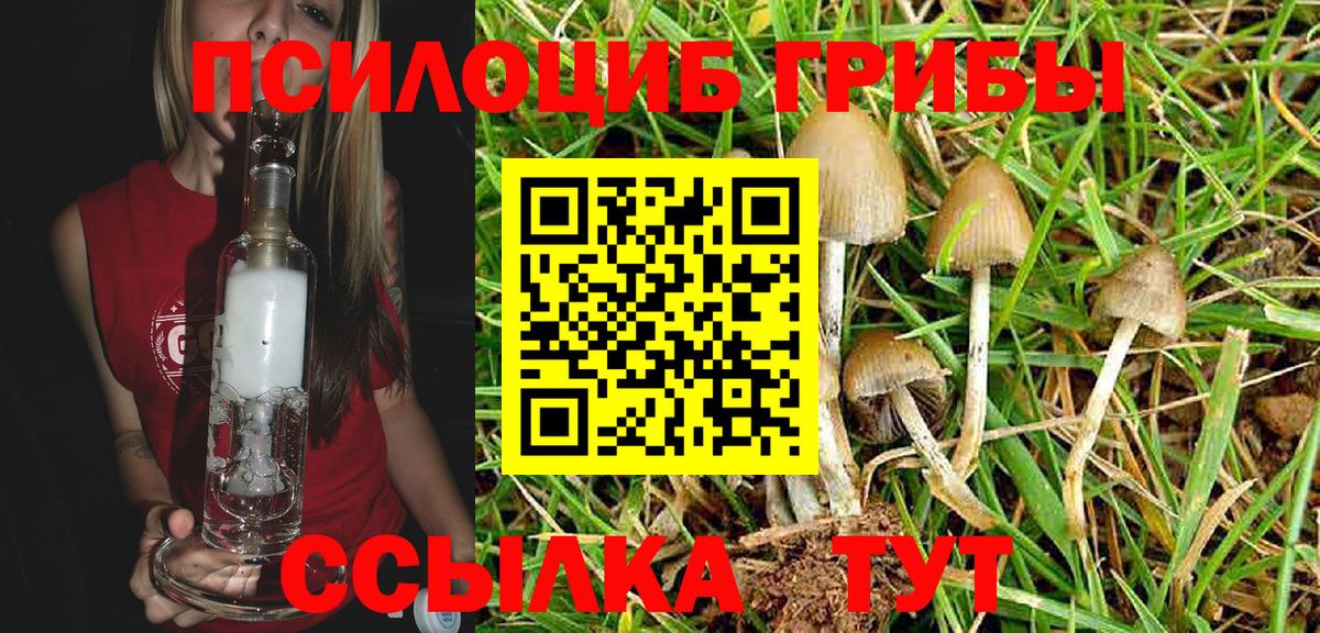 Галлюциногенные грибы мухоморы  Галлюциногенные грибы Psilocybine cubensis  Вход с VPN  Белая Калитва 
