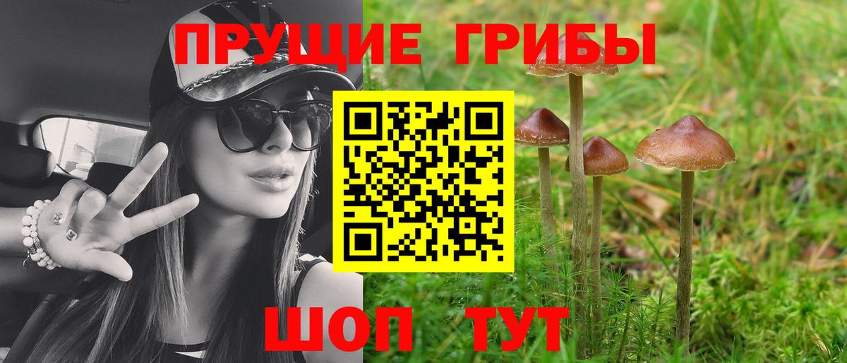 Псилоцибиновые грибы Cubensis Белая Калитва